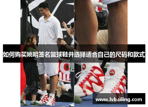 如何购买姚明签名篮球鞋并选择适合自己的尺码和款式